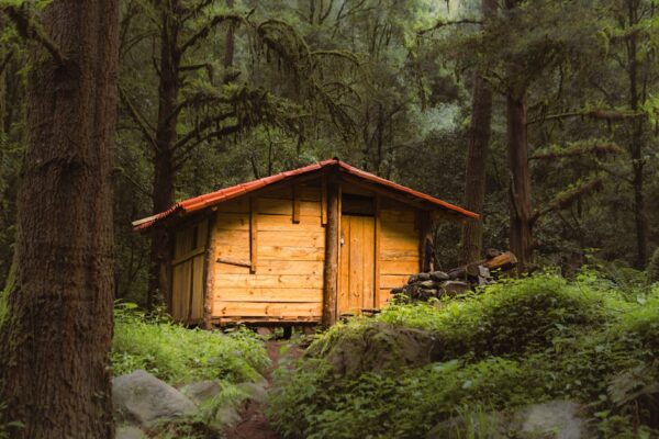A charming wooden cabin nestled in a lush forest in Amecameca, México.