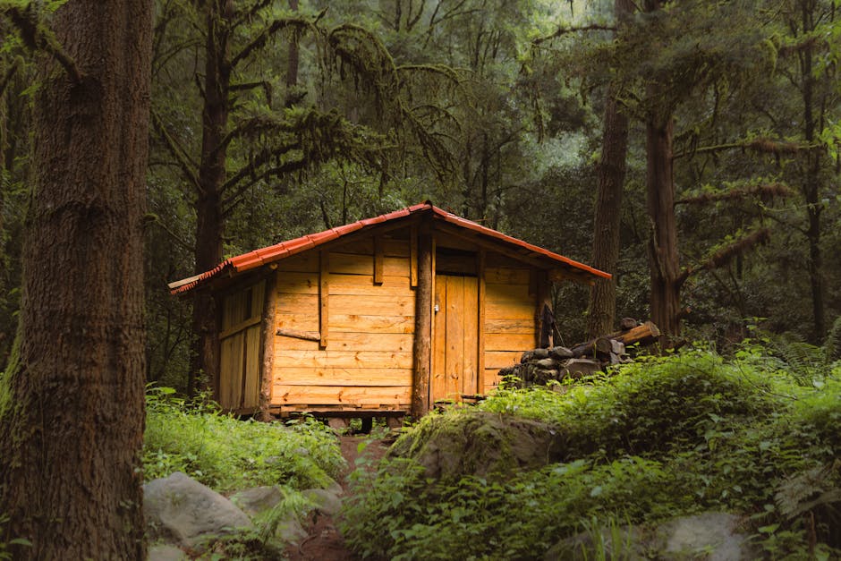 A charming wooden cabin nestled in a lush forest in Amecameca, México.
